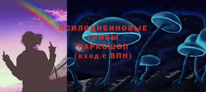 Галлюциногенные грибы Cubensis Горно-Алтайск